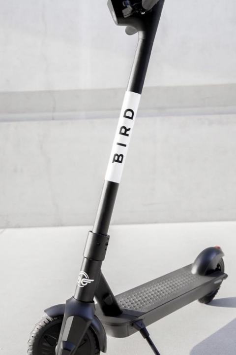 Bird scooters
