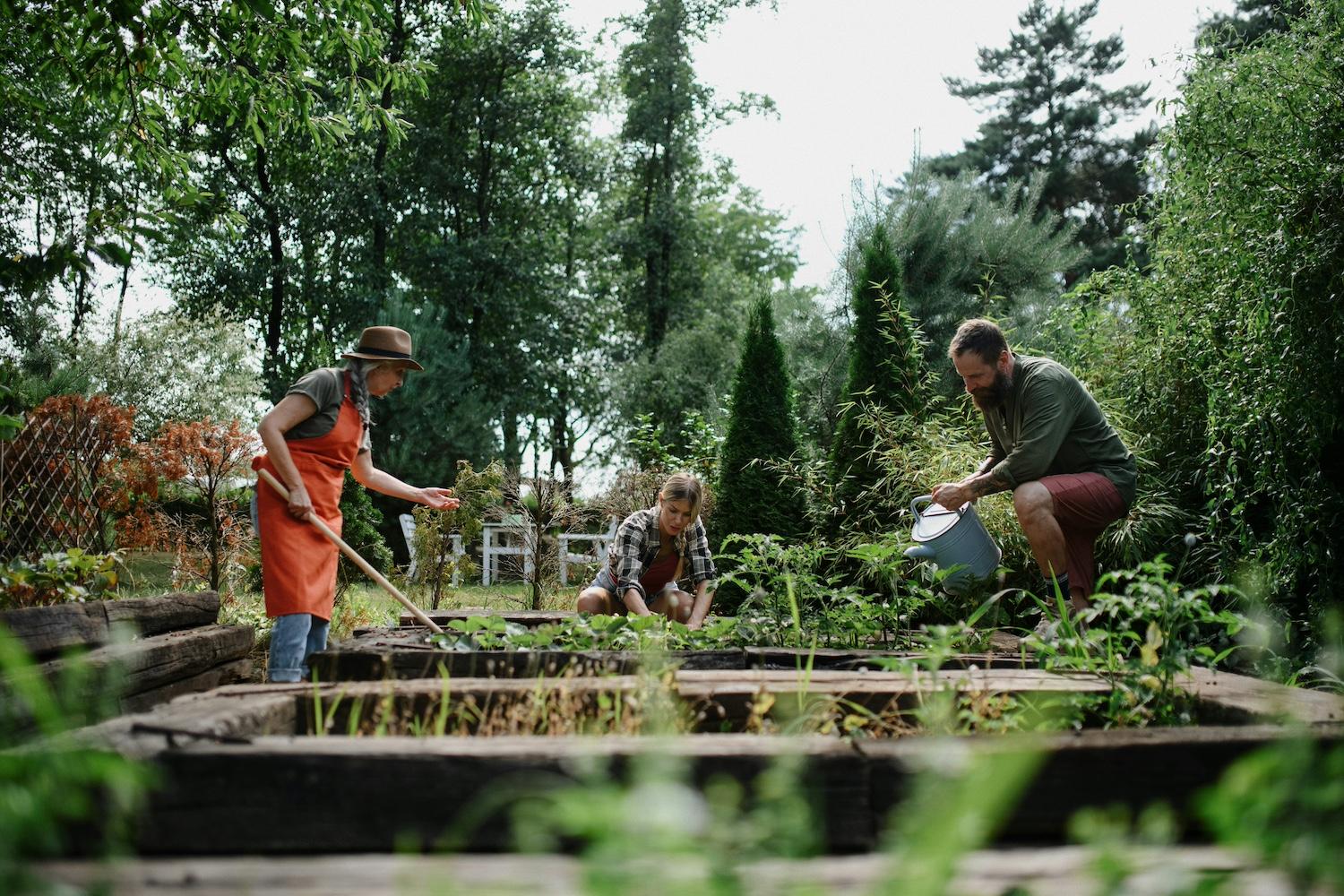 Three people caring for crops at a community garden — community composting