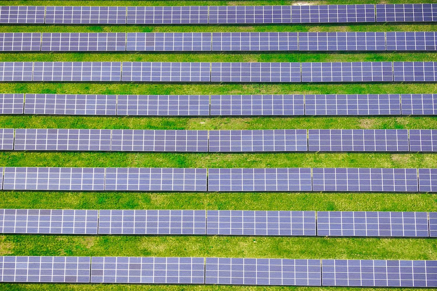 A birds eye view of lines of solar panels in a grass field — community solar