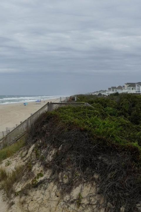Homes and rental units line a beach in the Outer Banks — destination management