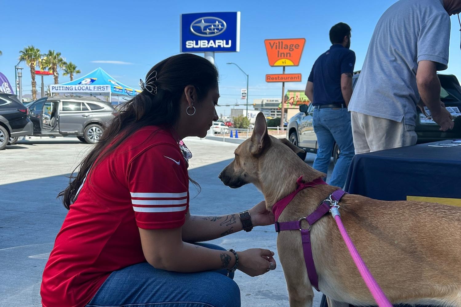 pet adoption event at a Subaru dealership — Subaru Loves Pets