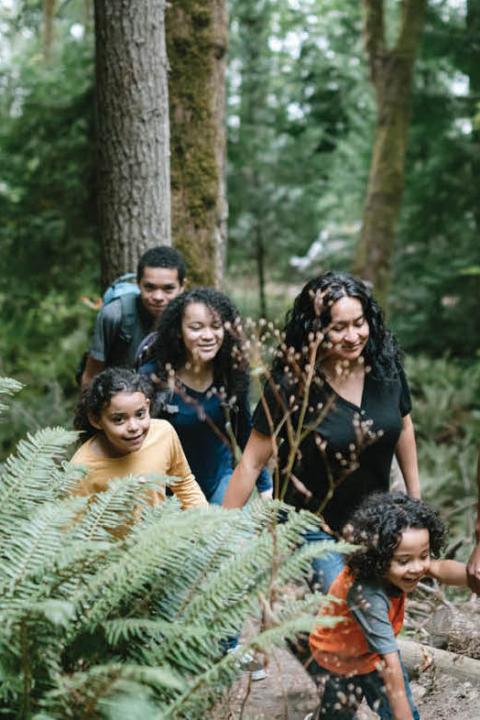 Family hiking in the woods - Northwestern Mutual Sustainability Report