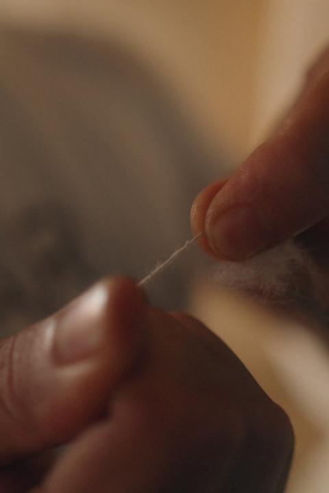 A person holds a string of organic cotton between their fingers — agroforestry