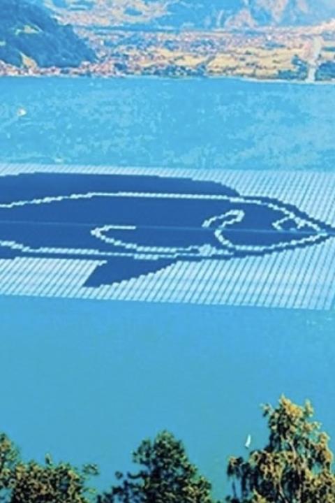 Floating Solar Energy in the Philippines