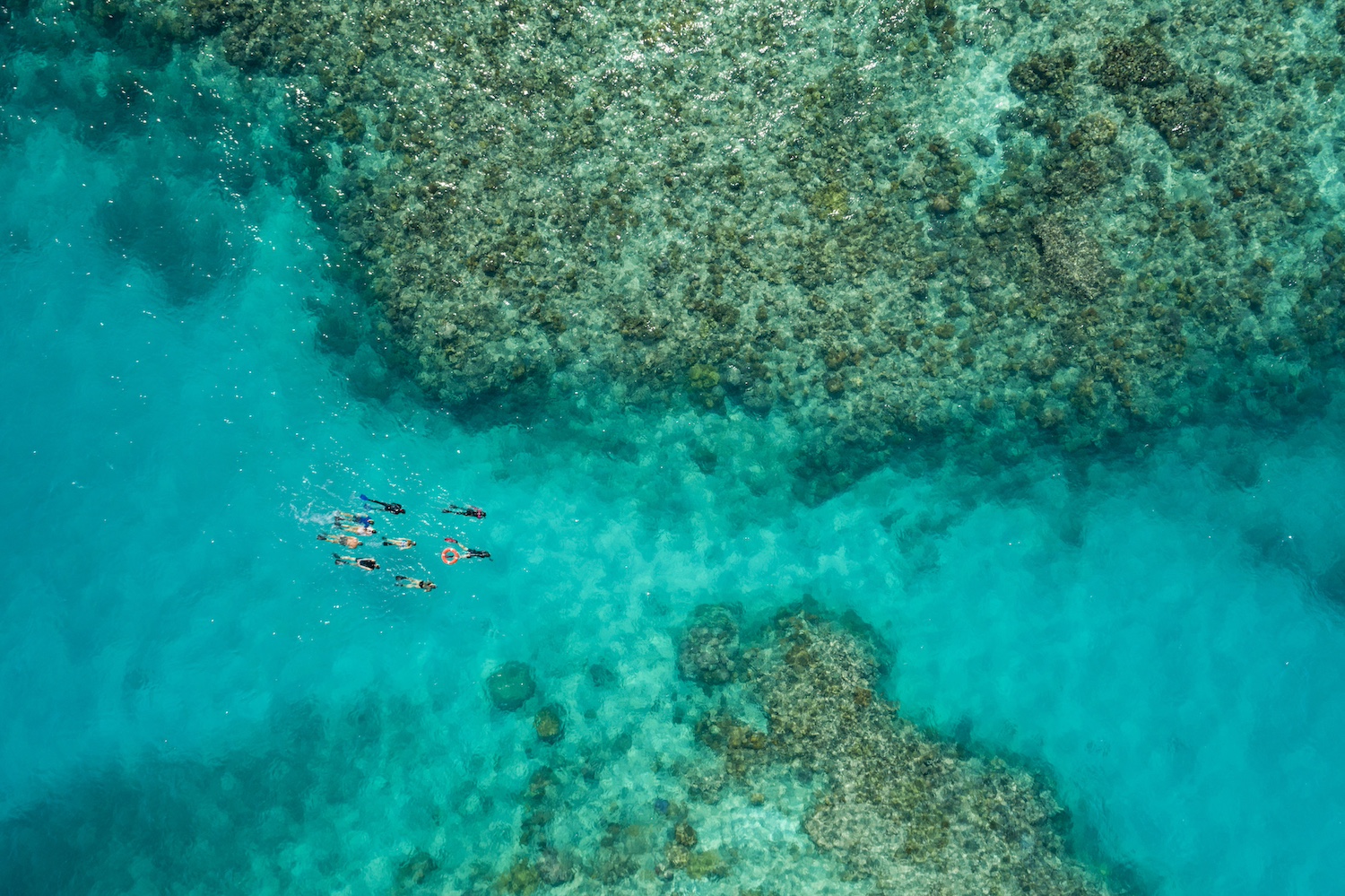 An aerial view of several scuba divers swimming along the Great Barrier Reef.