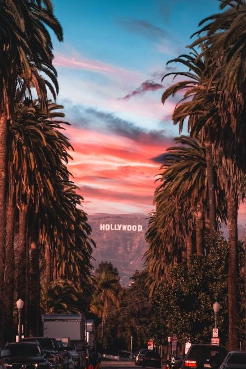 hollywood sign - are black women endangered species in entertainment