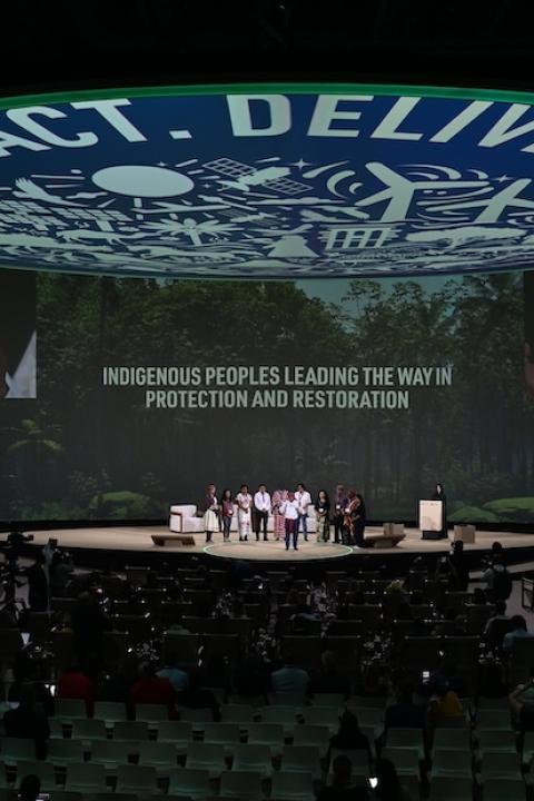 Leaders discuss nature-based solutions at the World Climate Summit at COP28