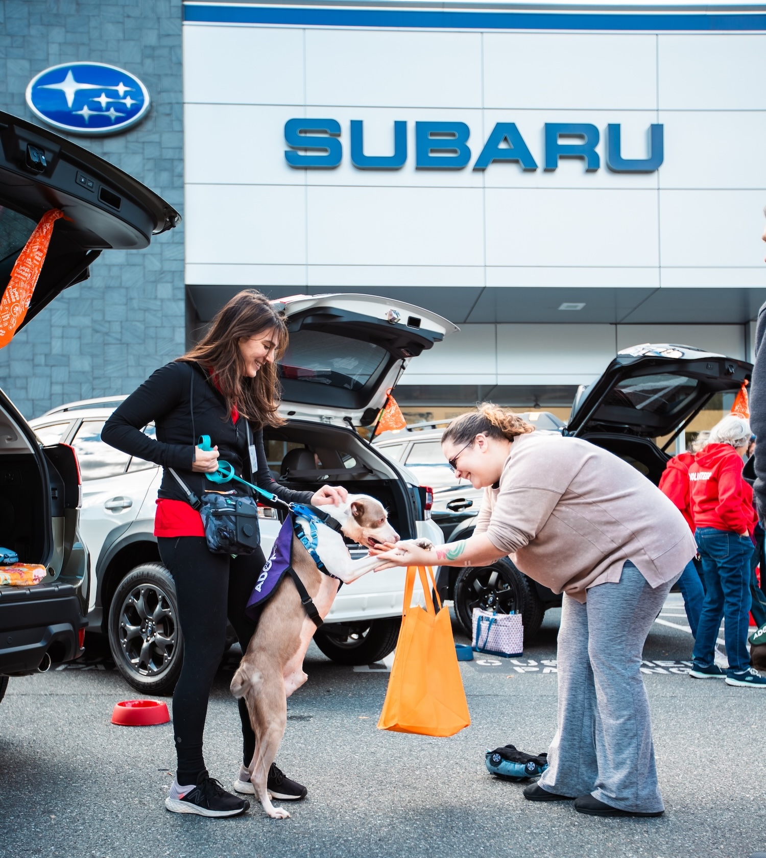 Subaru Loves Pets — pet adoption event at Subaru retailer