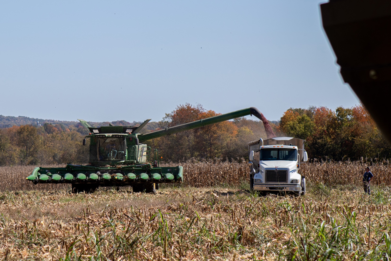 The Jeptha Creed team harvesting its signature Bloody Butcher corn with a combine harvester machine.