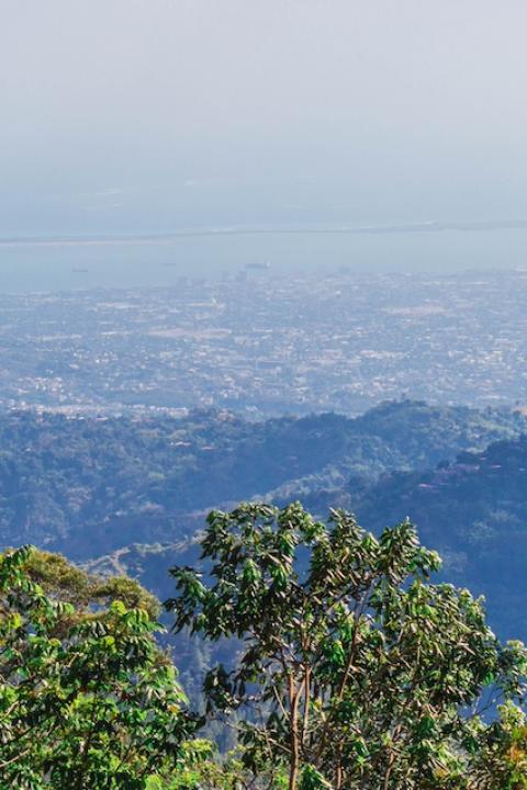 View from the mountains in Blue and John Crow Mountains National Park.