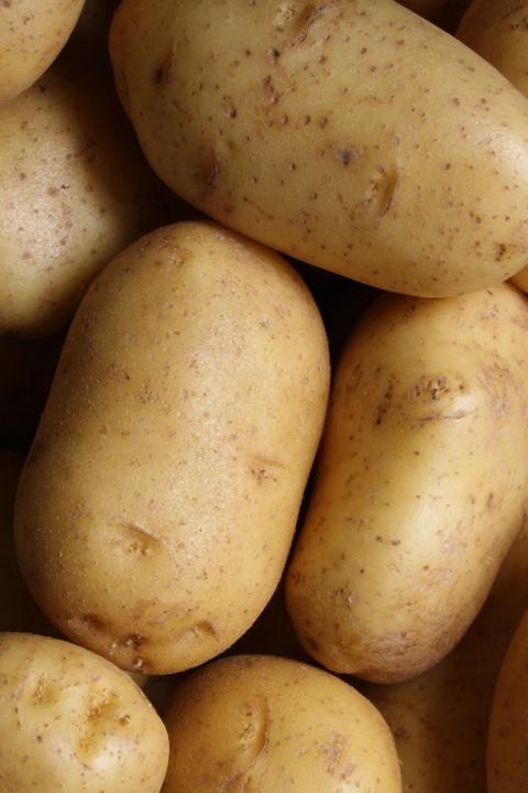 Regenerative Agriculture