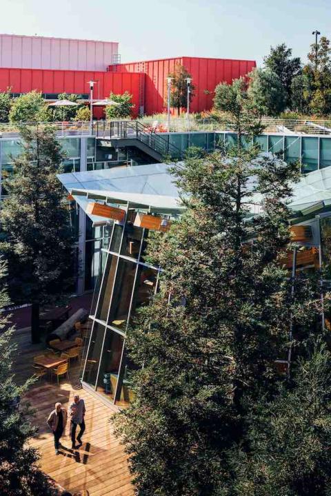 meta menlo park headquarters Town Square with trees and green roof - offices - biodiversity