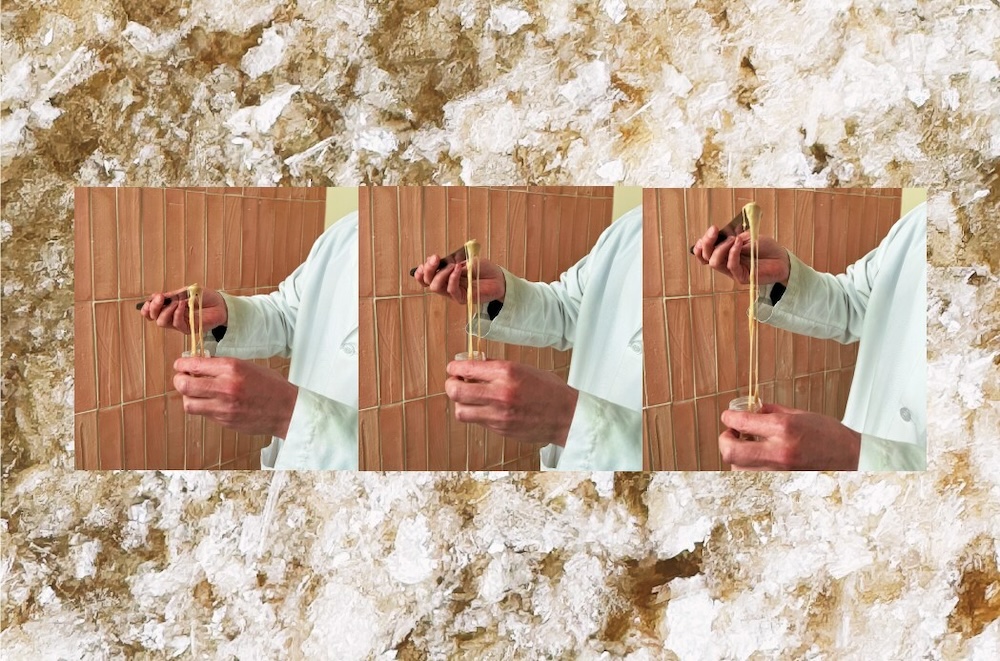 Nobell Foods Alpine Bio new vegan mozzarella — new plant-based foods 2025