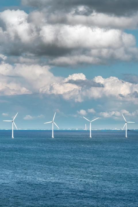 A line of offshore wind turbines.