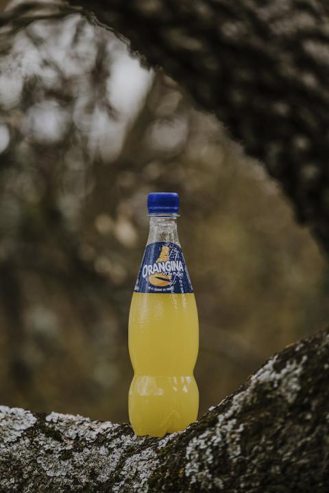 Suntory Plant-Based Bottle - Orangina