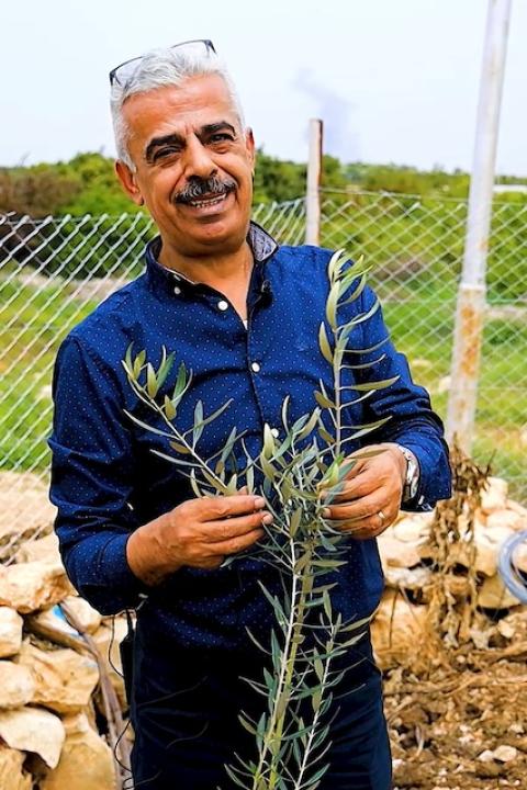 Abbas Milhem, executive director of the Palestinian Farmers’ Union, with an olive tree sapling.