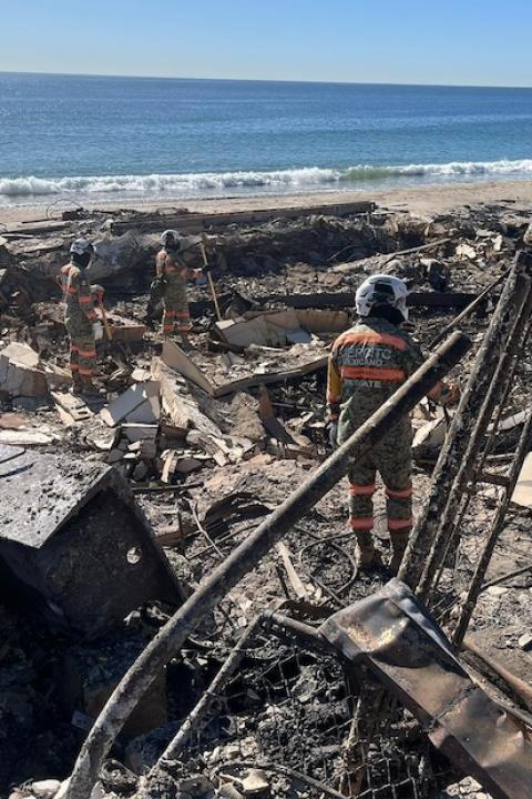 Palisades Fire Los Angeles 2025