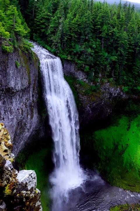 A waterfall in a forest. 