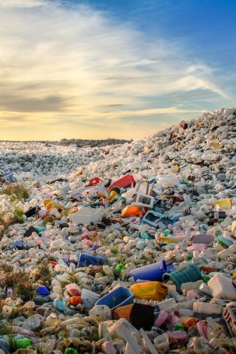 Plastic Pollution in the environment
