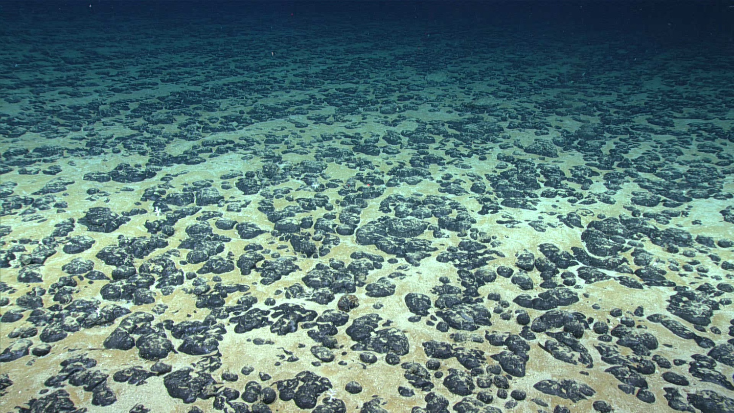 Polymetallic nodules, potato-sized rocks containing metal, sit on the ocean floor — deep-sea mining