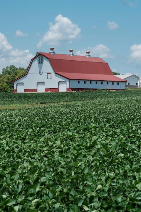 A red and white barn surrounded by a planted field — regenerative agriculture