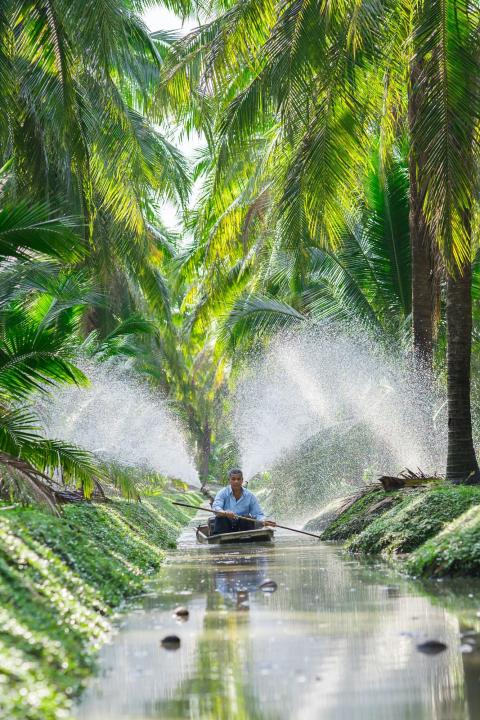 Regenerative Agriculture