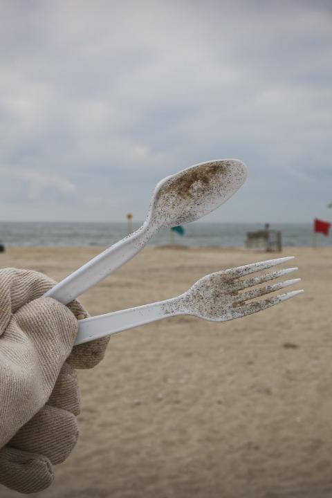 Single-Use Plastics