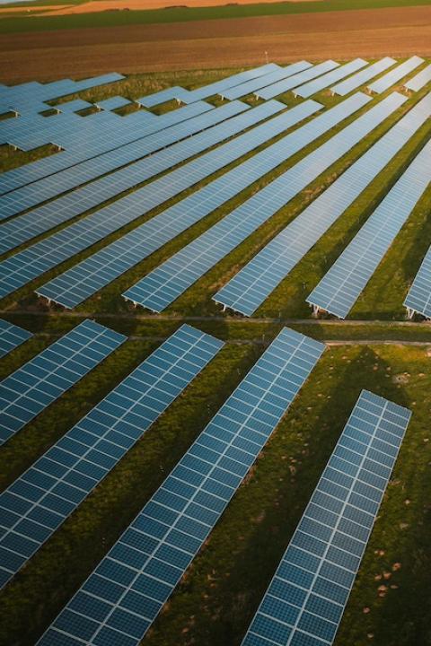A field of solar panels. 