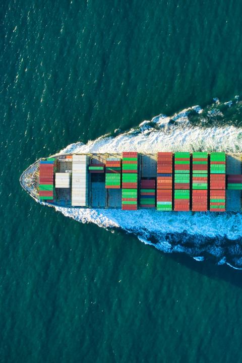 Supply Chain Disruptions