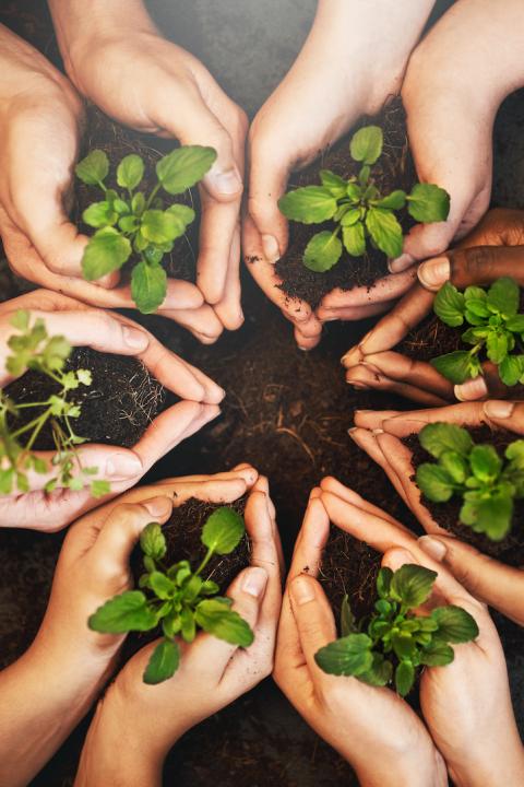 Sustainability - Circular Economy - Circular Business