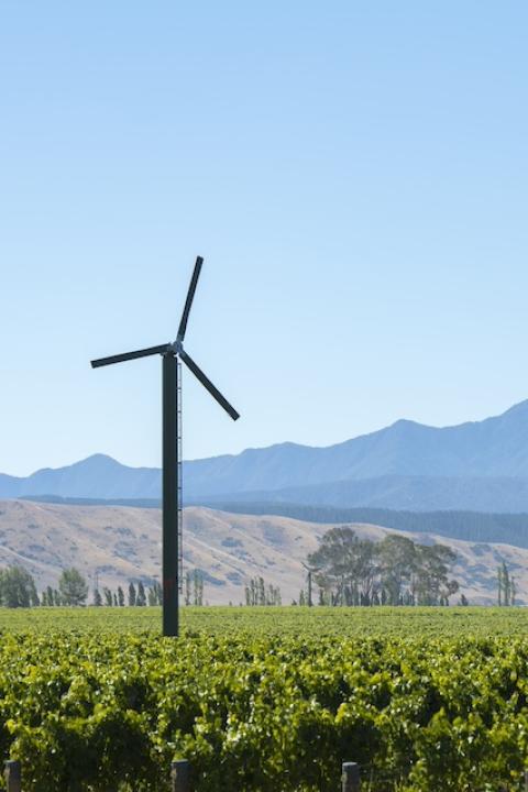 A wind turbine on a vineyard in Marlborough, New Zealand — sustainable wine
