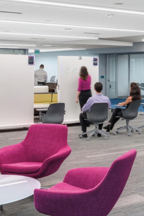 sustainable and healthy workspace