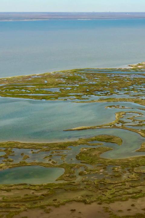 Gulf Coast Collaborative to reduce carbon emissions