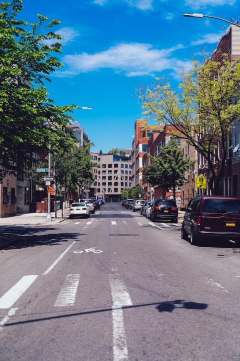 tree-lined street - trees can combat urban heat islands