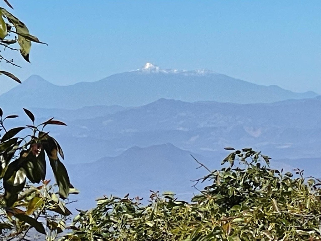 the view of the snow-capped Paricutín volcano from Mendoza's avocados farm