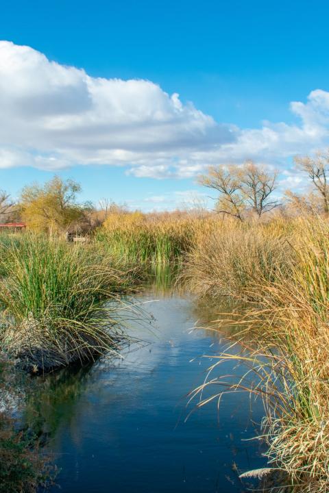 Natural Infrastructure