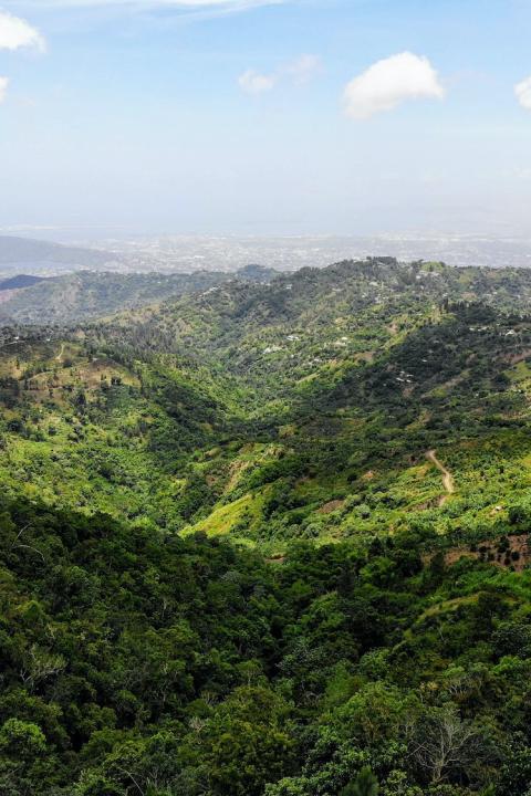 The Blue Mountains mountain range in Jamaica. 