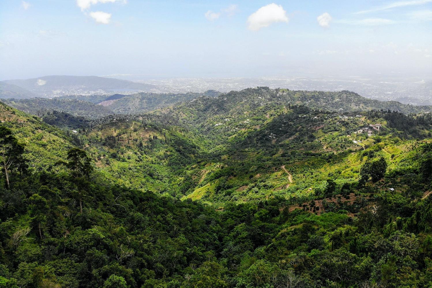 The Blue Mountains mountain range in Jamaica.