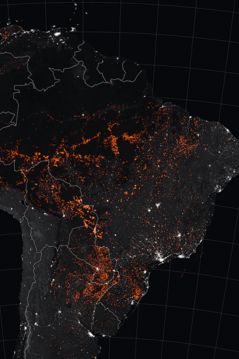 Amazon Fires