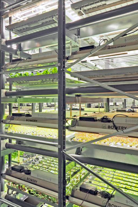 Indoor Farms