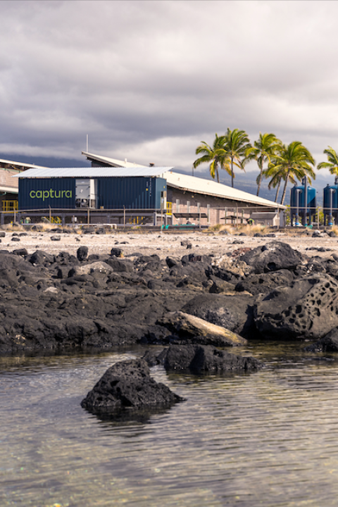 The Captura pilot facility in Hawaii on the coast surrounded by palm trees — direct ocean capture