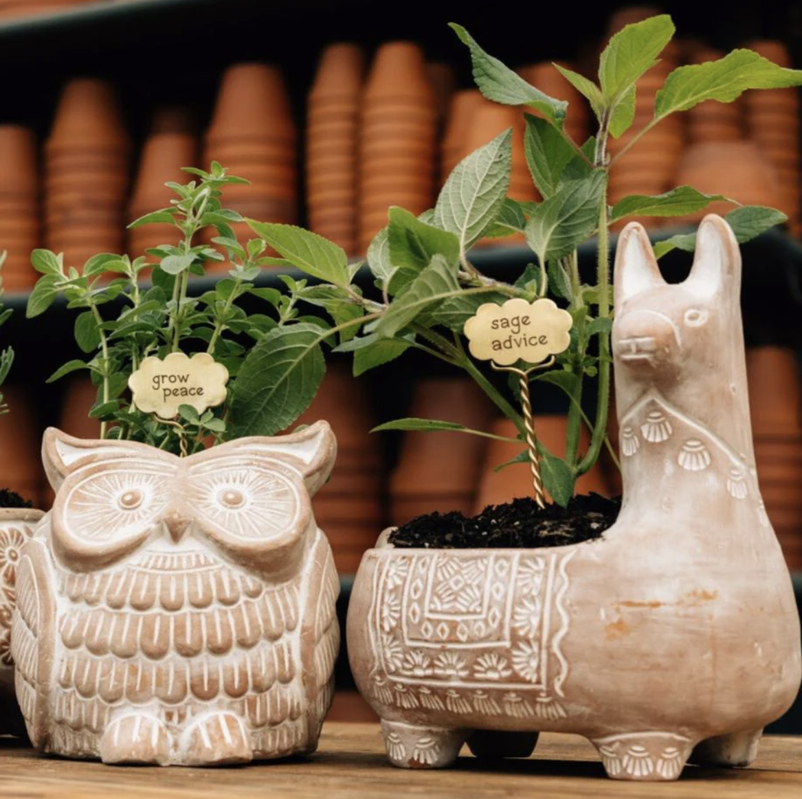 Handmade planters from Ten Thousand Villages — sustainable holiday gifts