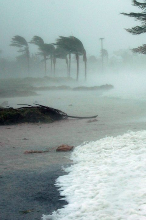 The economic cost of climate change will only worsen if we make no changes to our current carbon emissions trajectory and do not plan for long-term resilience accordingly.